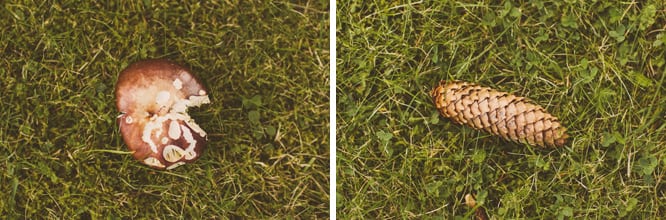 elinstefan_043 Elin + Stefan | Västerås, Sweden