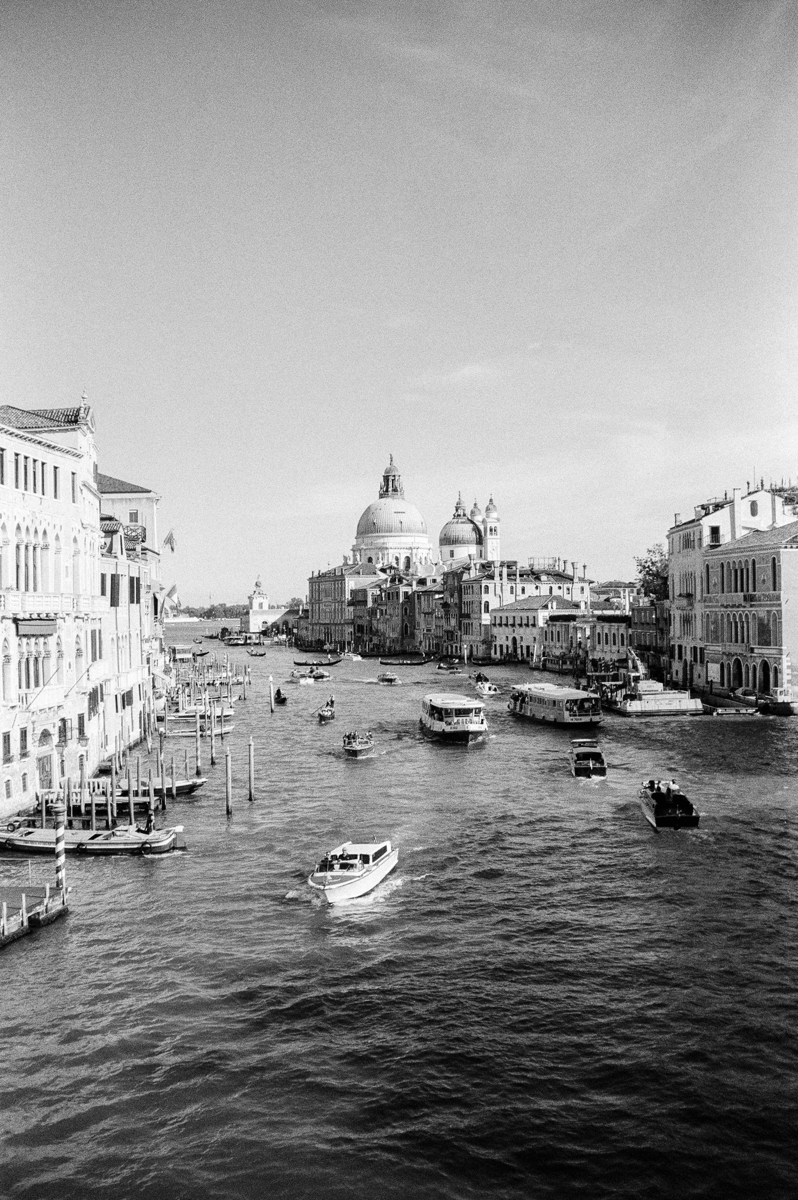 LP-Analogue-4 Ed Peers | Photographer