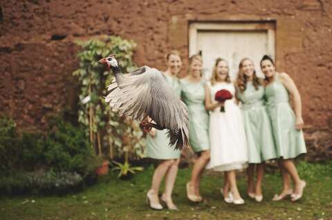 creative wedding photographer london