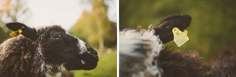 Swedish forest wedding