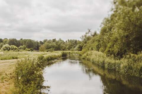 Wiltshire wedding photographer