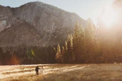 Yosemite wedding photographer