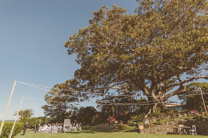 Fig Tree Wedding Fig Tree Wedding