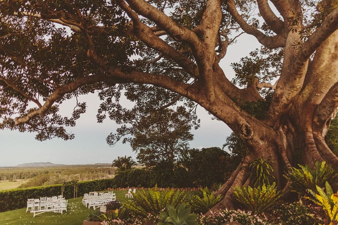 Fig Tree Wedding Fig Tree Wedding