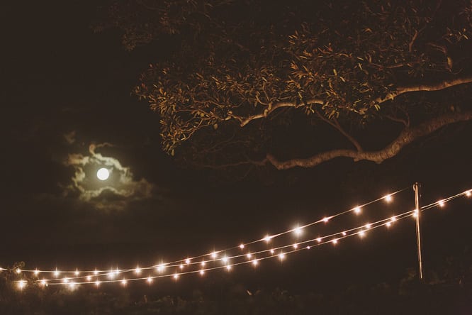 Fig Tree Wedding Fig Tree Wedding