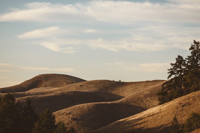 San Francisco Wedding Photographer