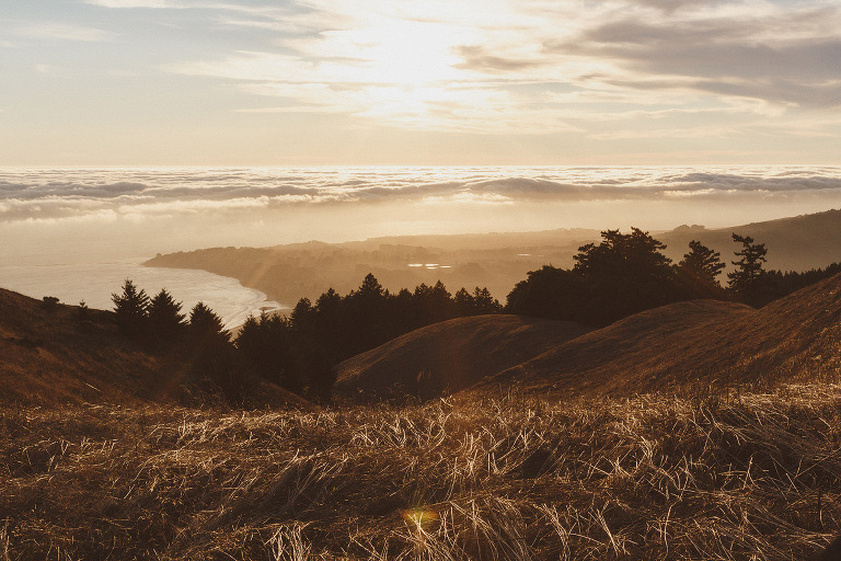 San Francisco Wedding Photographer