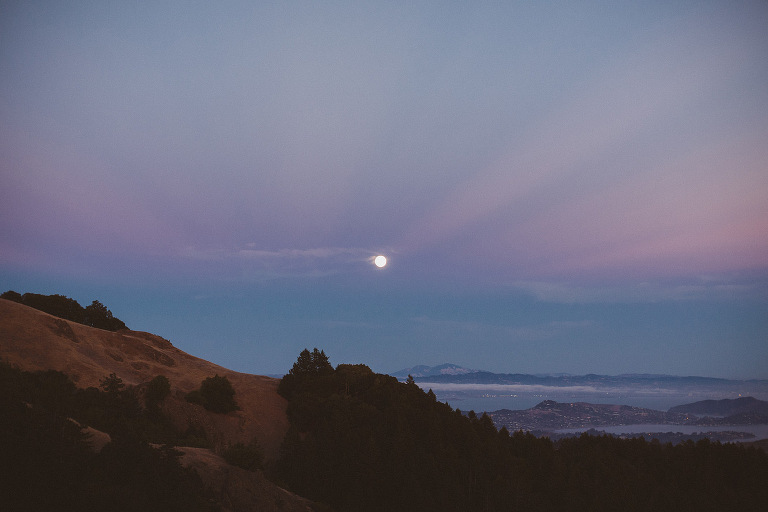 Mount Tamalpais Engagement Session